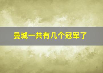 曼城一共有几个冠军了