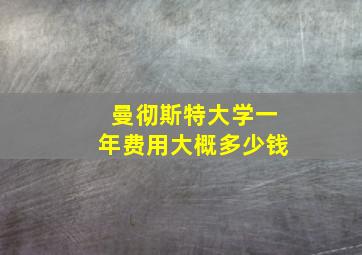 曼彻斯特大学一年费用大概多少钱