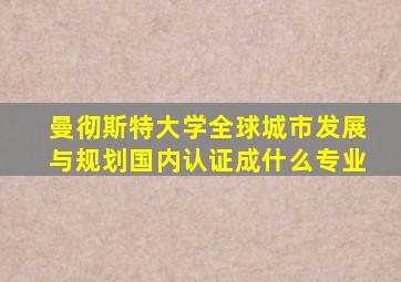 曼彻斯特大学全球城市发展与规划国内认证成什么专业