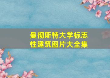 曼彻斯特大学标志性建筑图片大全集