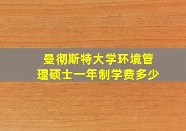 曼彻斯特大学环境管理硕士一年制学费多少