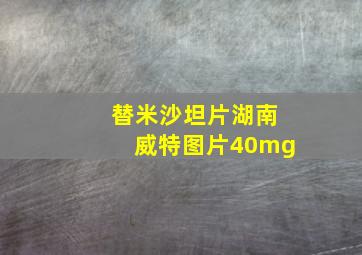 替米沙坦片湖南威特图片40mg