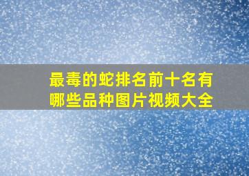 最毒的蛇排名前十名有哪些品种图片视频大全