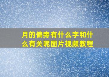 月的偏旁有什么字和什么有关呢图片视频教程