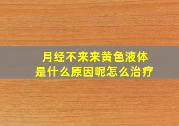 月经不来来黄色液体是什么原因呢怎么治疗