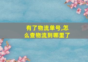 有了物流单号,怎么查物流到哪里了