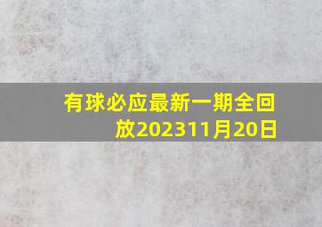 有球必应最新一期全回放202311月20日