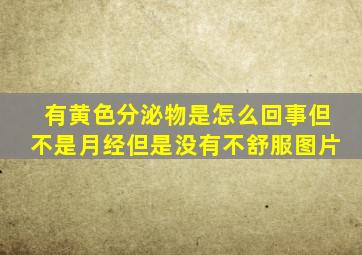 有黄色分泌物是怎么回事但不是月经但是没有不舒服图片