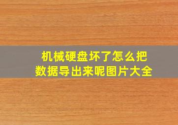 机械硬盘坏了怎么把数据导出来呢图片大全