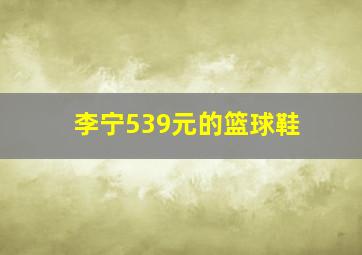 李宁539元的篮球鞋