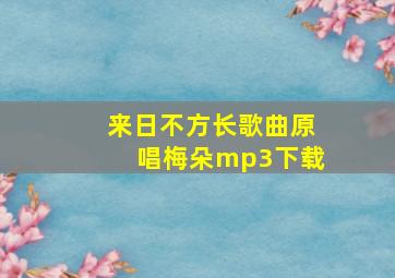 来日不方长歌曲原唱梅朵mp3下载