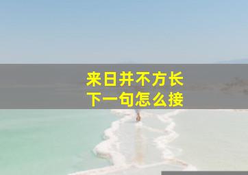 来日并不方长下一句怎么接