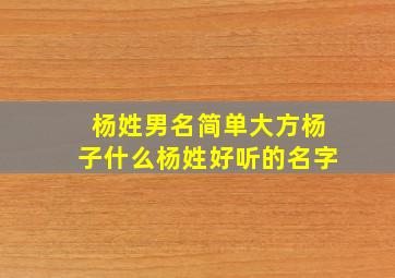 杨姓男名简单大方杨子什么杨姓好听的名字