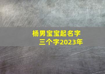 杨男宝宝起名字三个字2023年