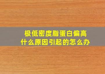 极低密度脂蛋白偏高什么原因引起的怎么办