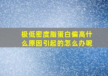 极低密度脂蛋白偏高什么原因引起的怎么办呢