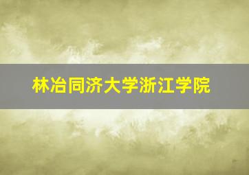 林冶同济大学浙江学院