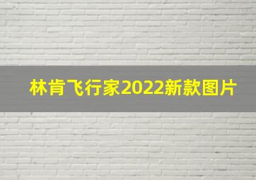 林肯飞行家2022新款图片