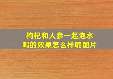 枸杞和人参一起泡水喝的效果怎么样呢图片