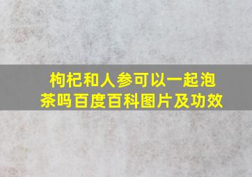 枸杞和人参可以一起泡茶吗百度百科图片及功效