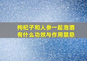 枸杞子和人参一起泡酒有什么功效与作用禁忌