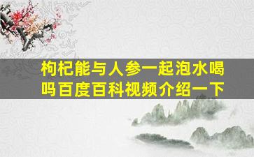 枸杞能与人参一起泡水喝吗百度百科视频介绍一下