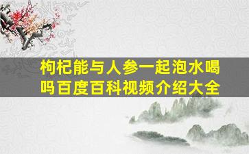 枸杞能与人参一起泡水喝吗百度百科视频介绍大全