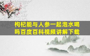 枸杞能与人参一起泡水喝吗百度百科视频讲解下载