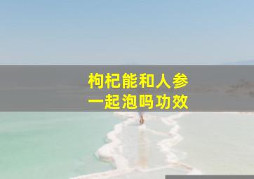 枸杞能和人参一起泡吗功效