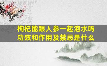 枸杞能跟人参一起泡水吗功效和作用及禁忌是什么