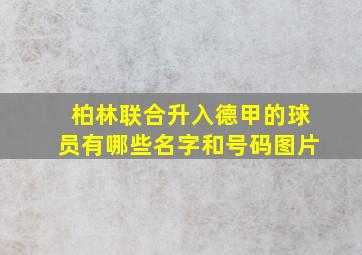 柏林联合升入德甲的球员有哪些名字和号码图片