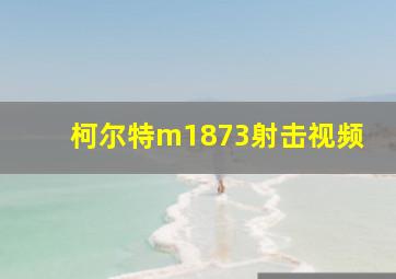 柯尔特m1873射击视频