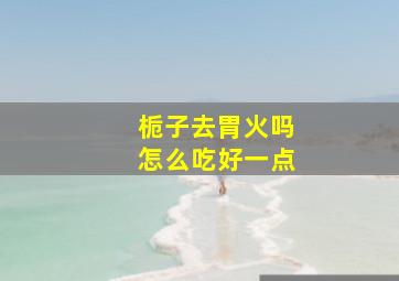 栀子去胃火吗怎么吃好一点