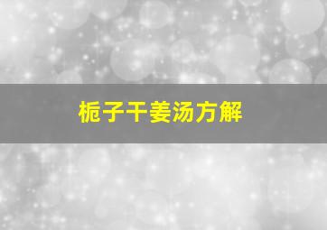 栀子干姜汤方解