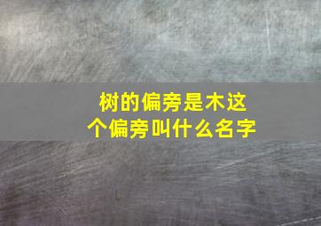 树的偏旁是木这个偏旁叫什么名字