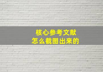 核心参考文献怎么截图出来的