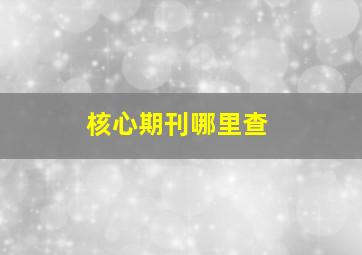 核心期刊哪里查