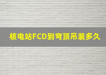 核电站FCD到穹顶吊装多久