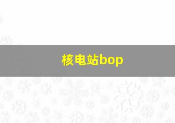 核电站bop