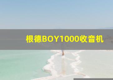 根德BOY1000收音机