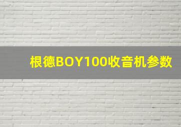 根德BOY100收音机参数