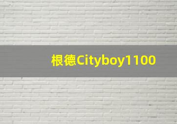 根德Cityboy1100