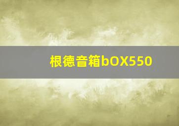 根德音箱bOX550