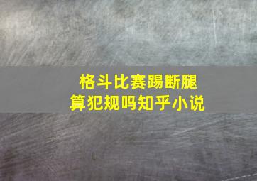 格斗比赛踢断腿算犯规吗知乎小说