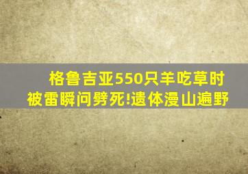 格鲁吉亚550只羊吃草时被雷瞬问劈死!遗体漫山遍野