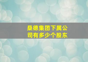 桑德集团下属公司有多少个股东