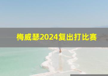 梅威瑟2024复出打比赛