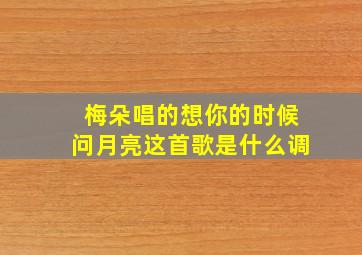 梅朵唱的想你的时候问月亮这首歌是什么调