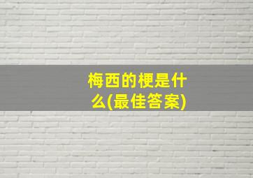 梅西的梗是什么(最佳答案)