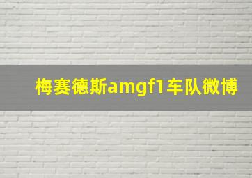 梅赛德斯amgf1车队微博